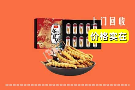 郑州新密市回收冬虫夏草
