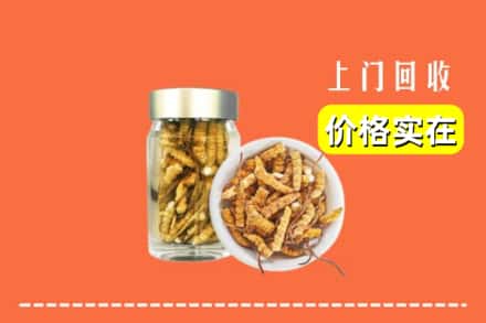 郑州新密市回收散虫草
