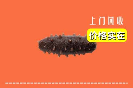 郑州新密市回收海参